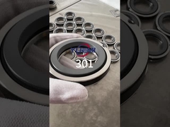 301 Single-Spring Mechanical Seal( Replace Aesseal B01, Bt-Ar,  Flowserve 118, Mut Fa for Cyclan B01