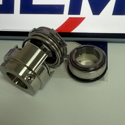 GLF-E-22 Mechanical Seal Auue 485114 for Glf Pump Lm/Lp/Nm/Np