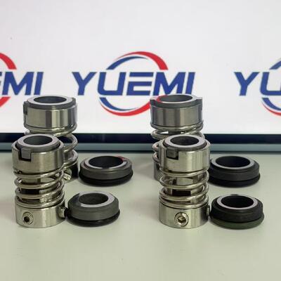 CDL-12/16mm CDLK CNP Suitable for Cdl/Cdlf/Cdm/Cdmf Series Universal mechanical Seal