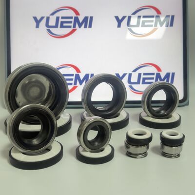 BT-AR/301 CCN  for Circulation Water Pumps Mechanical Seal