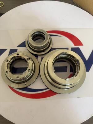 Black-mer Industrial Water Pump Canned Sewage Pump Mechanical Seal