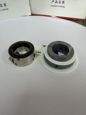 John Crane 8b2 for Armstrong Pump Seal 4300 4302 and 4312 Seal ST Mechanical Seal