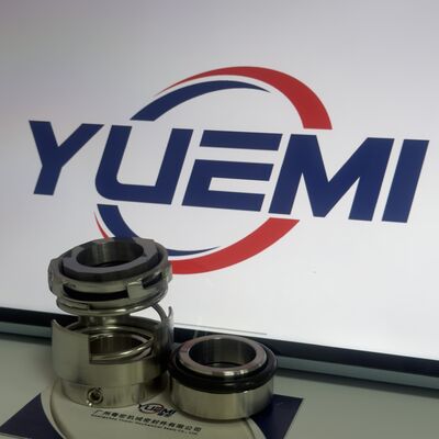 GLF-E-22 Mechanical Seal Auue 485114 for Glf Pump Lm/Lp/Nm/Np