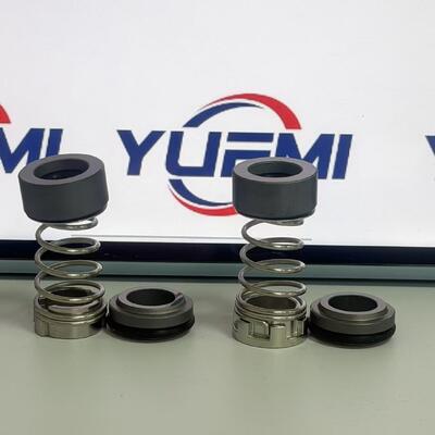 CH 2-20/30 12mm for Grundfos Pump Aqqe Pump Cr mechanical Seal