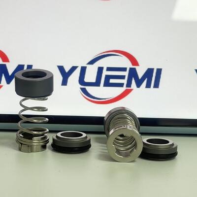 CH 2-20/30 12mm for Grundfos Pump Aqqe Pump Cr mechanical Seal