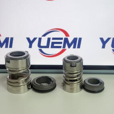 CDL-12/16mm CDLK CNP Suitable for Cdl/Cdlf/Cdm/Cdmf Series Universal mechanical Seal