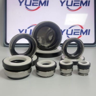 BT-AR/301 CCN  for Circulation Water Pumps Mechanical Seal