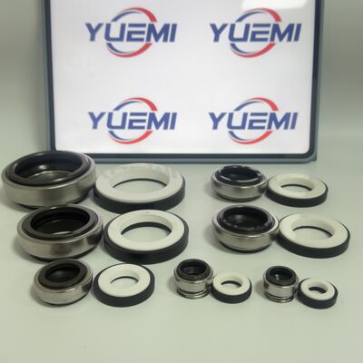 BT-AR/301 CCN  for Circulation Water Pumps Mechanical Seal