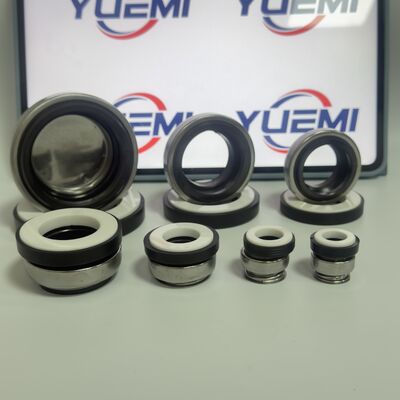 BT-AR/301 CCN  for Circulation Water Pumps Mechanical Seal